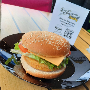 Burger simple poulet + frites